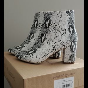 Banf of Gypsies snake print booties